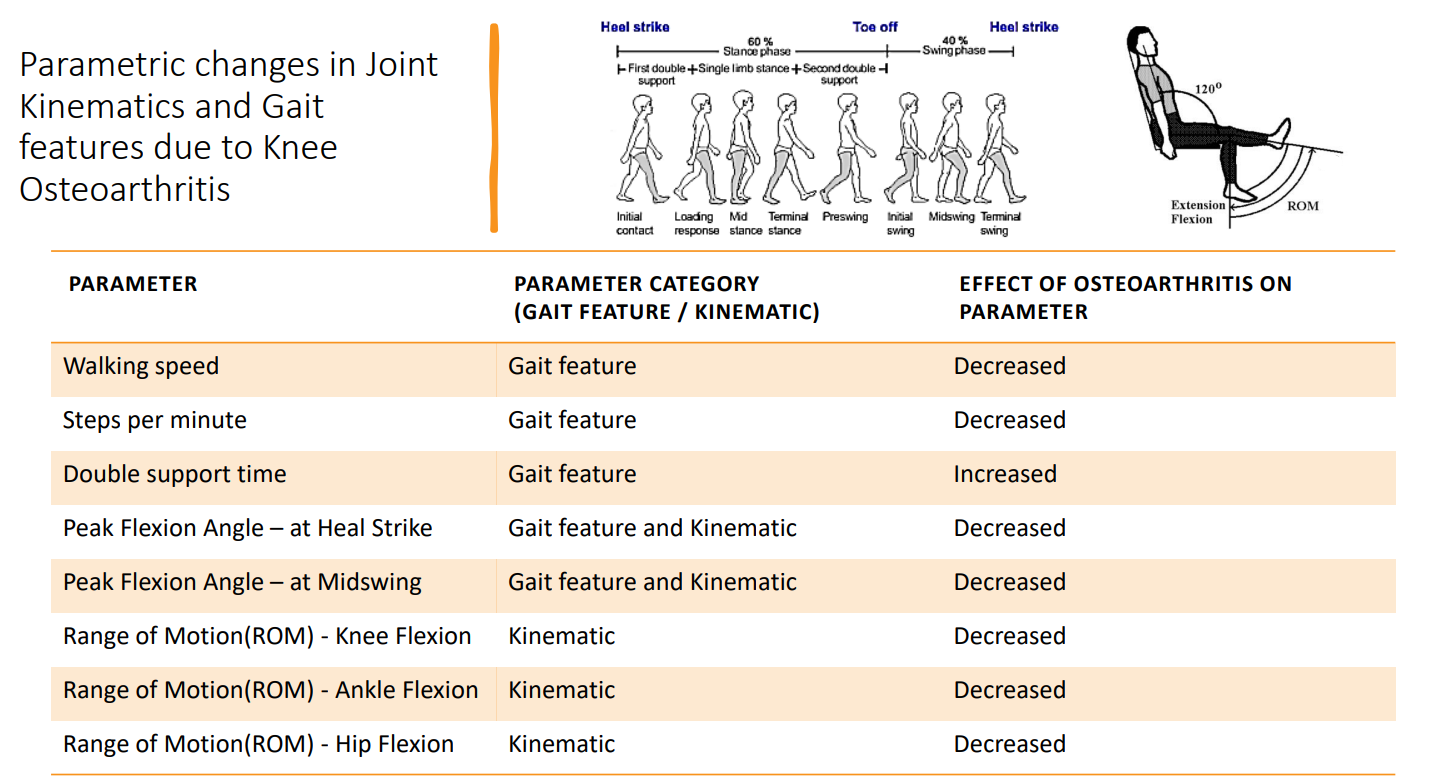 Gait features affected by KOA